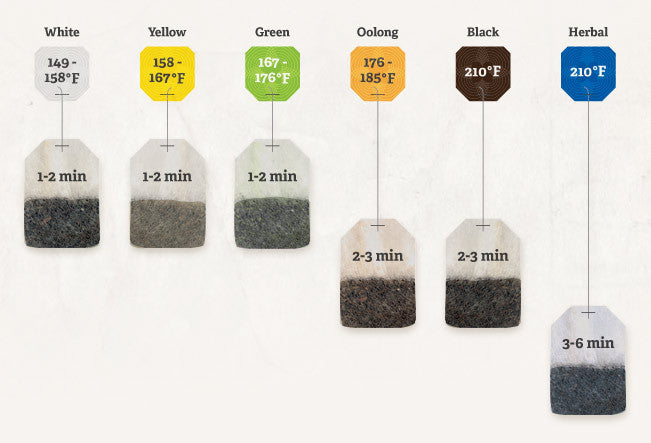 1 Pound Green Loose Leaf Tea 200+ Cups by URBAN MONK TEA
